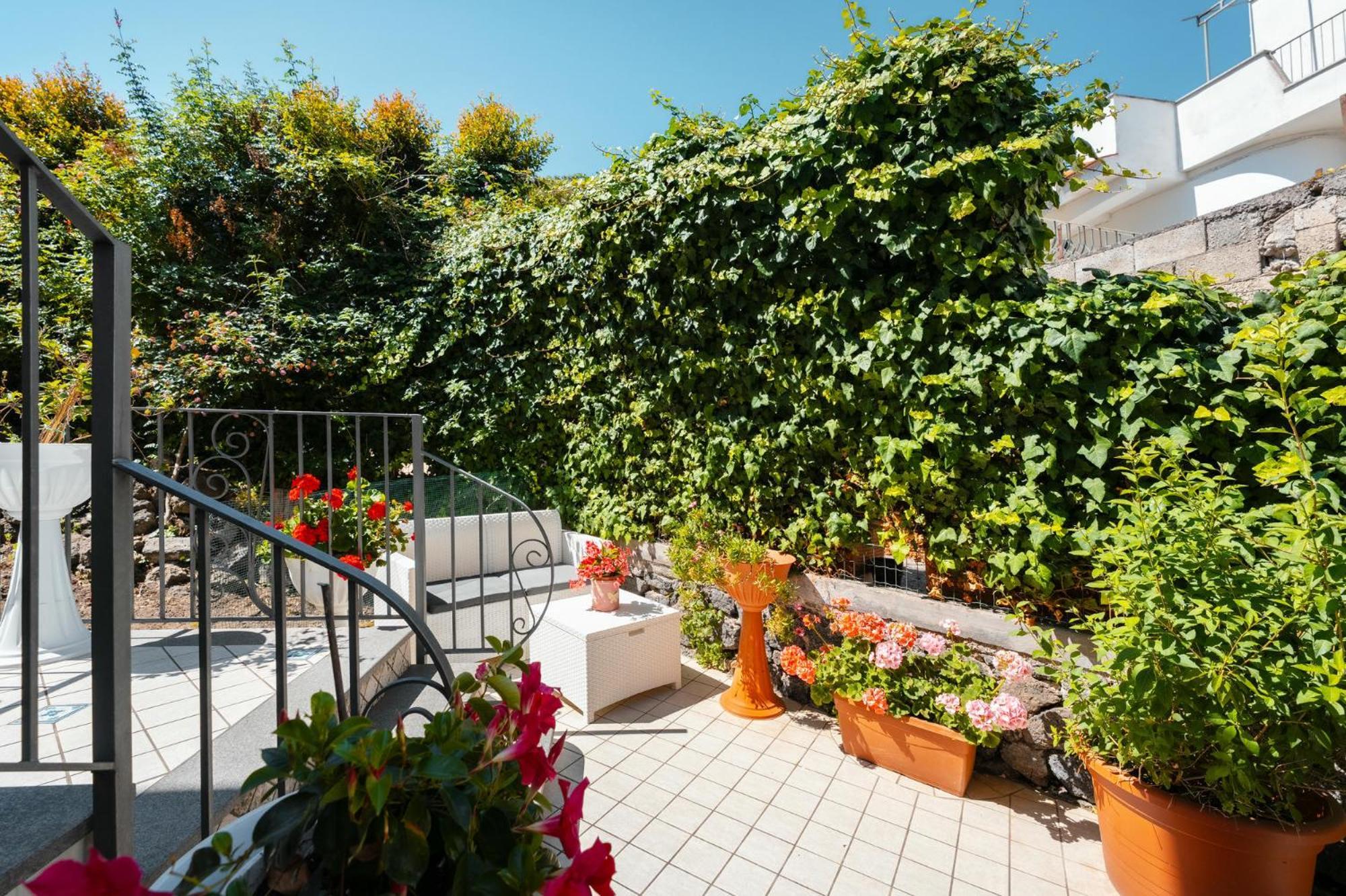 La Vispa Teresa Ischia Exteriér fotografie