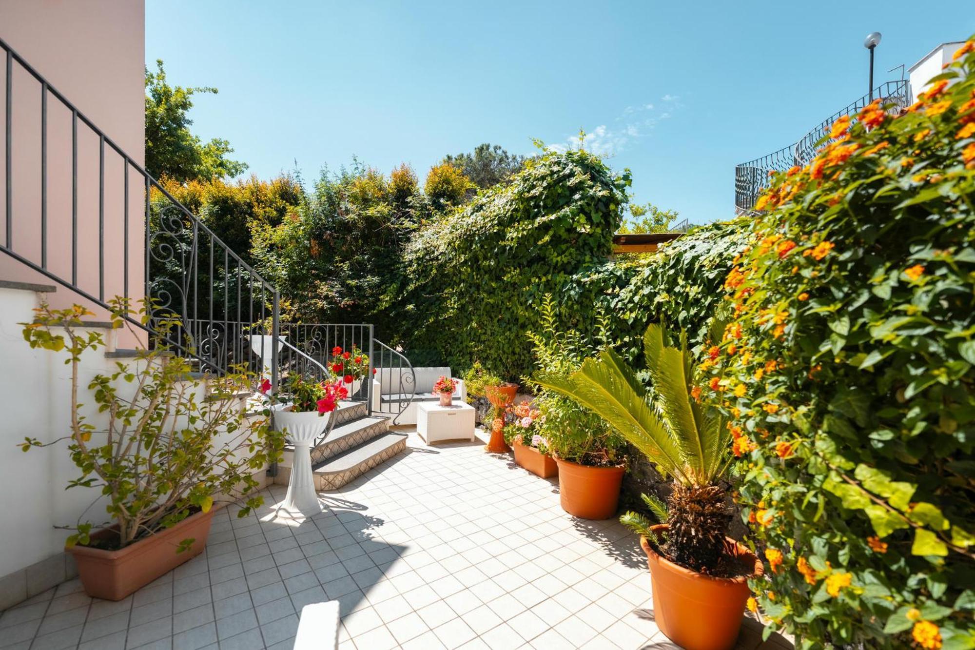 La Vispa Teresa Ischia Exteriér fotografie
